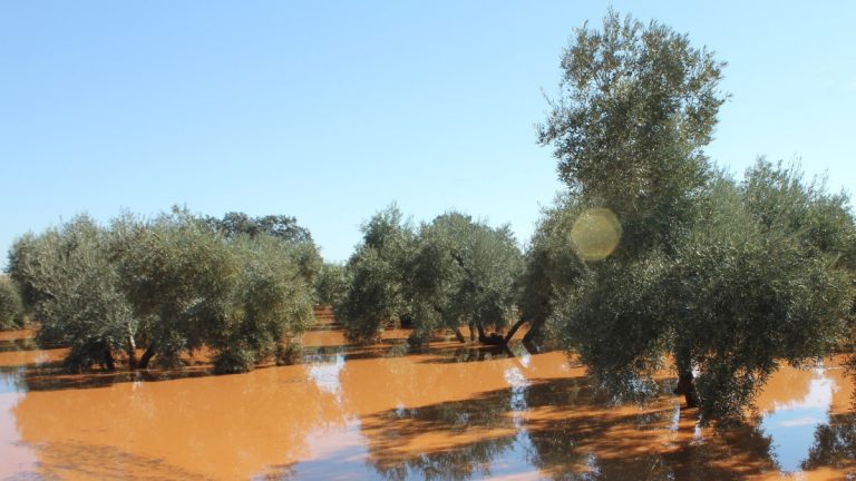 terrenos inundados Sierra Yeguas | @Clave_Economica