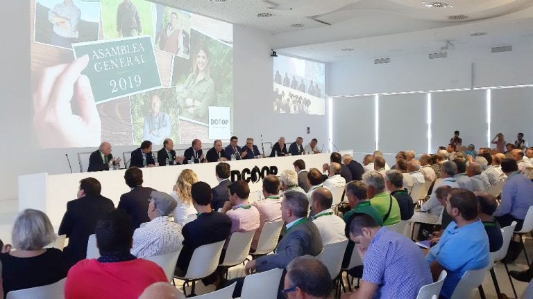 Asamblea General Dcoop 2019