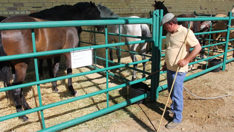 Certamen Agroganadero Villanueva Trabuco