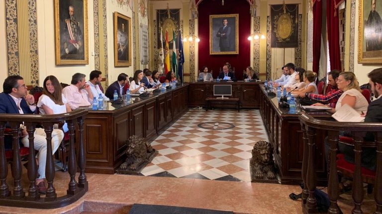 pleno Antequera julio 2019