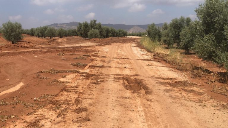 Camino Antequera Sierra Yeguas tras lluvias DANA
