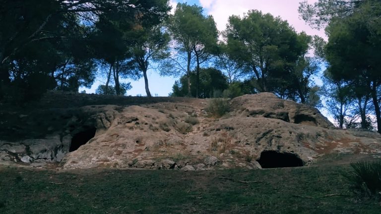 Necrópolis Aguilillas Campillos