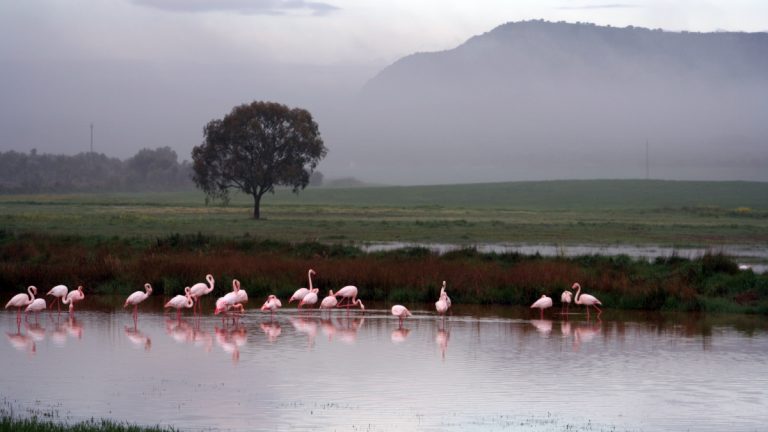 Reserva Natural Laguna Campillos