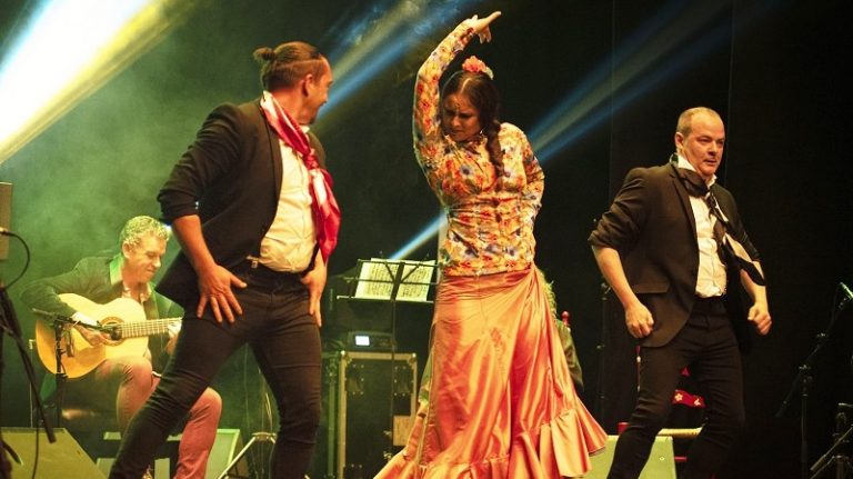espectáculo flamenco