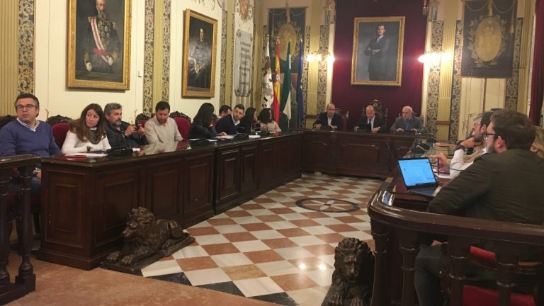 pleno extraordinario aprobación solicitud 1,5% Cultural rehabilitar Colegiata Santa María