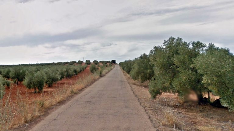 Cañada Real Sevilla - Antequera