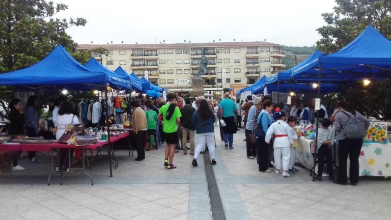 mercadillo solidario Antequera
