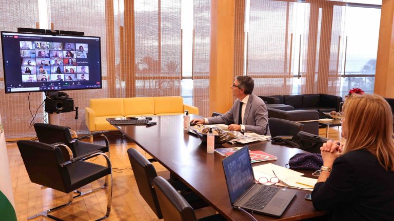 Pleno extraordinario Diputación 27 noviembre 2020