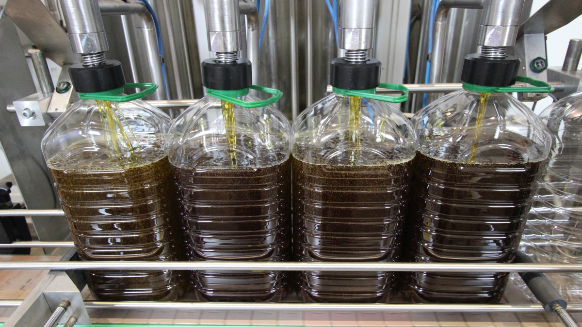 envasado aceite oliva Grupo Azzayt