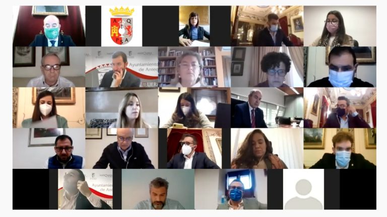 pleno virtual 20 noviembre 2020