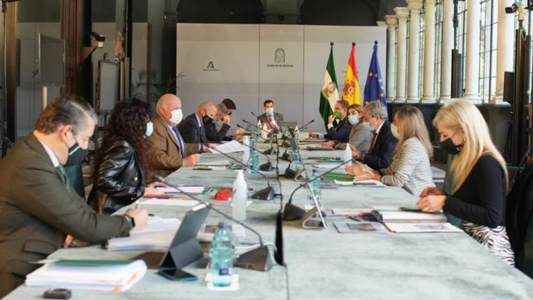 reunión Consejo Gobierno Junta 9 diciembre 2020