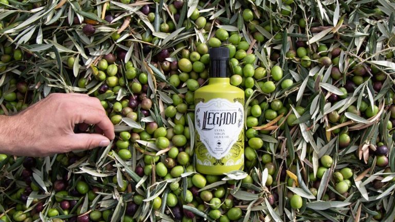 Legado-aceite-oliva-virgen-extra-Hacienda-Colchado