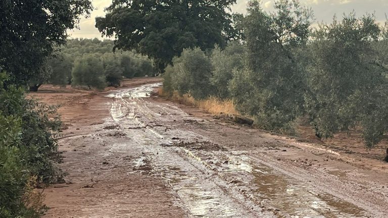 Camino de Antequera de Sierra de Yeguas tras lluvias 1 septiembre