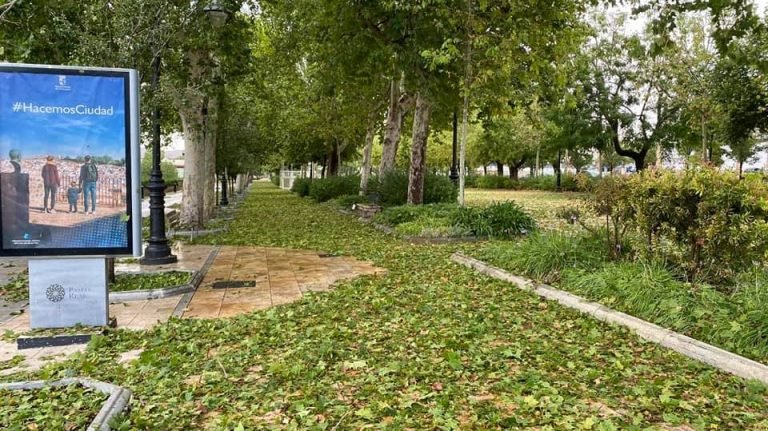 estado Paseo Real Antequera tras granizada