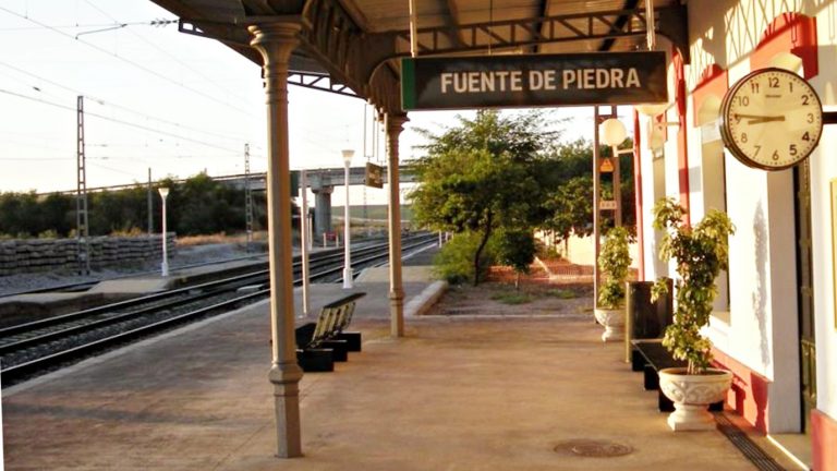 Estación tren Fuente de Piedra