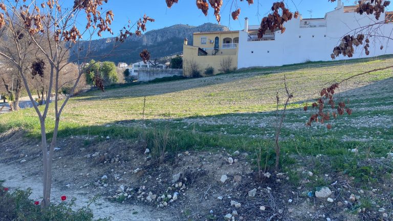 Terrenos junto a la avenida Pablo Picasso de Cuevas de San Marcos donde estará el Aula Abierta de Naturaleza (3)