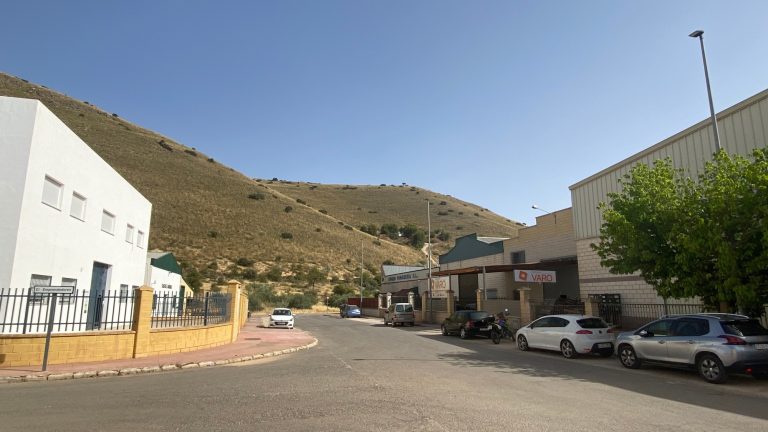 calle Cerrajeros del Polígono Industrial de Archidona (junio 2022)