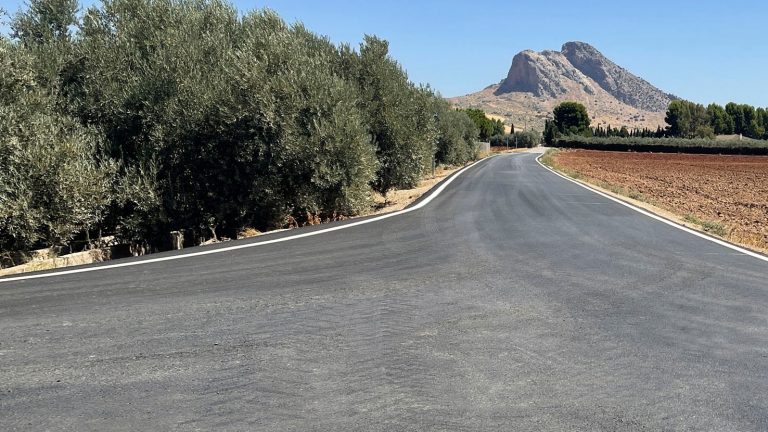 camino rural del Partido Alto en la Vega de Antequera (agosto 2022) (1)