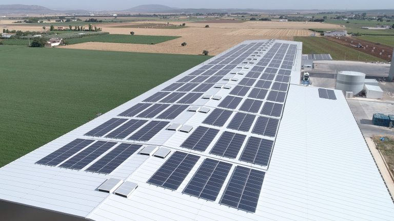 placas solares en las instalaciones de Dcoop en Antequera (noviembre 2022)