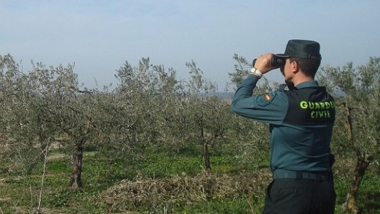 Guardia Civil vigilando un terreno agrícola
