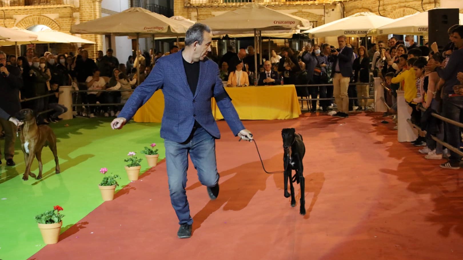 Uno de los perros ganadores en la Plaza Ochavada, durante la Feria del Perro de Archidona de 2022