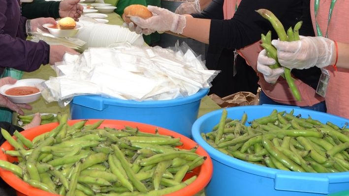 Preparación de las legumbres en el Día de la Haba (Foto Ayuntamiento Villanueva de la Concepción)
