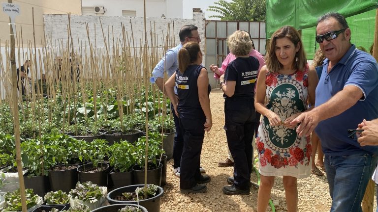 Docente del taller Ecosierra mostrando a la consejera de Empleo, Rocío Blanco, los cultivos desarrollados en esta acción formativa de Sierra de Yeguas