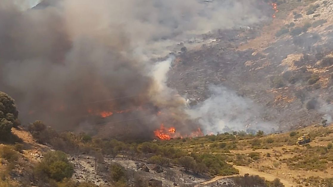 Incendio en el paraje de la Yedra (foto Infoca (julio 2023)