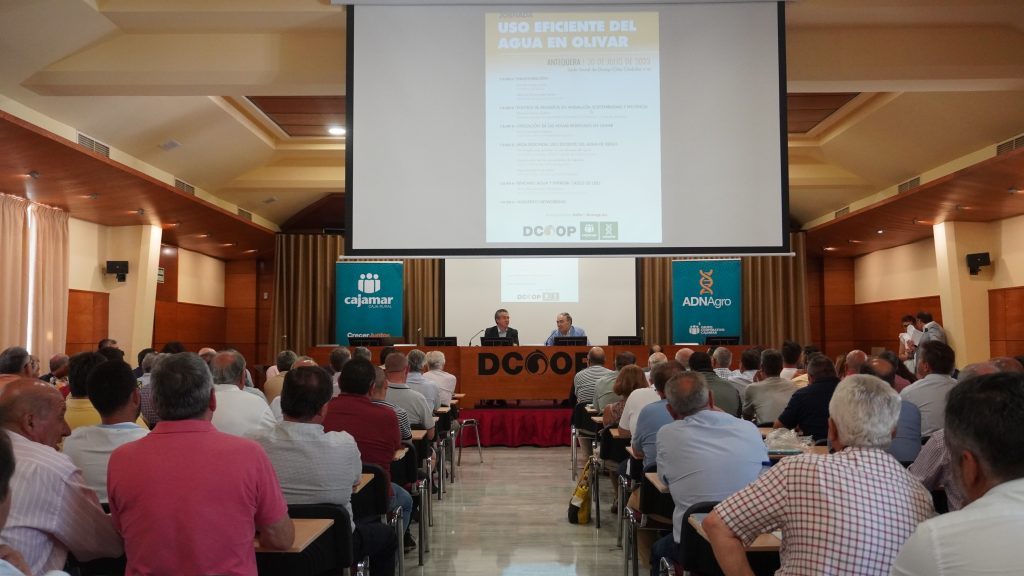 Jornada Uso eficiente del agua en olivar celebrada en Dcoop (julio 2023)