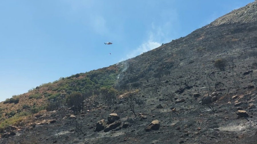 Terreno quemado en el incendio de la Sierra de las Cabras de Antequera (foto Infoca) (julio 2023)