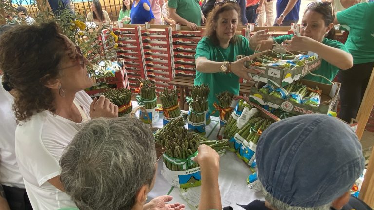 Feria del Espárrago y de la Agricultura Ecológica de Sierra de Yeguas de 2023