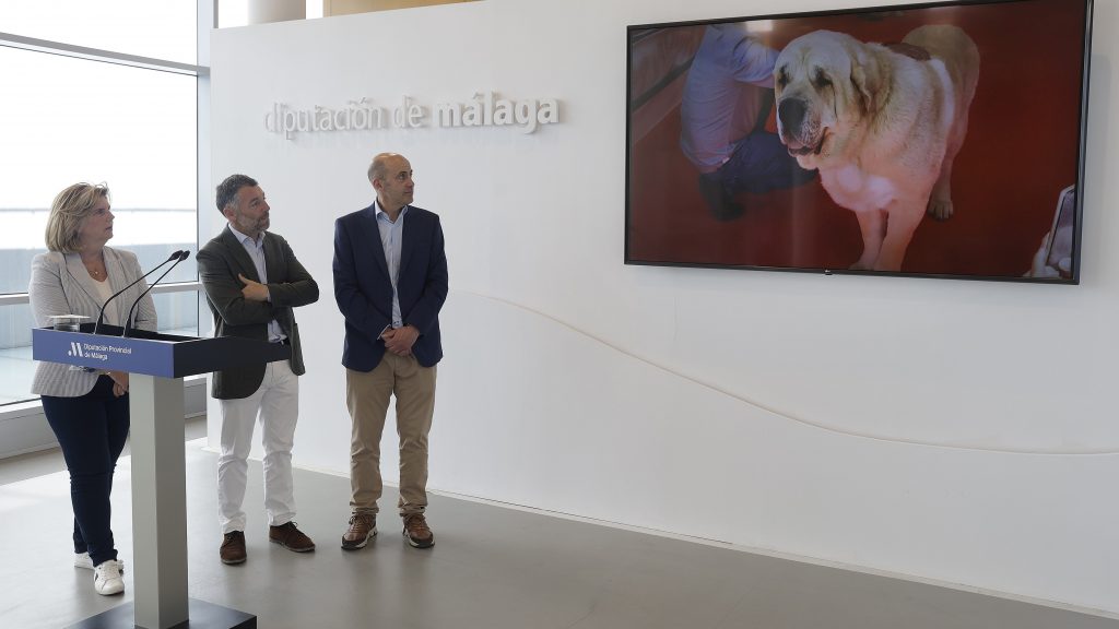 Presentación en la Diputación de Málaga de la XXXI Feria del Perro en Archidona