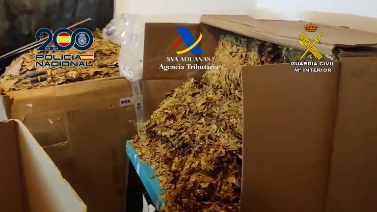 Material para elaborar tabaco incautado en una nave en Mollina