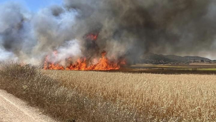 Incendio en un cultivo de cereal en la pedanía de Fuente del Fresno de Archidona