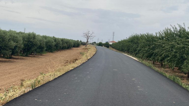Camino rural a la depuradora de Antequera (junio 2024)