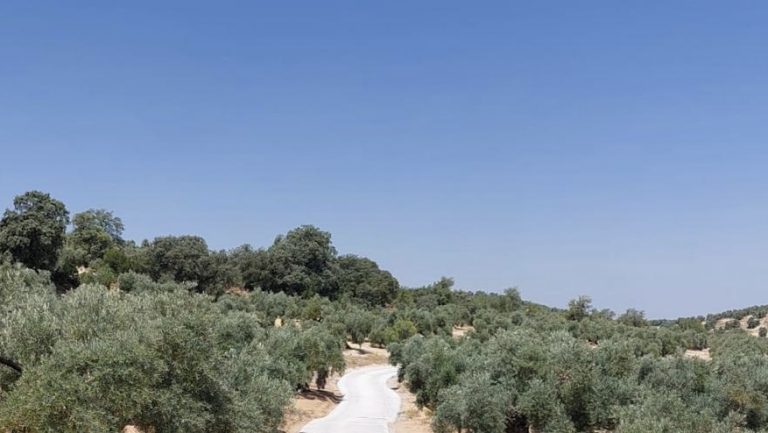 Camino de la Isla de Cuevas de San Marcos mejorado con el Plan Itínere II (junio 2024)