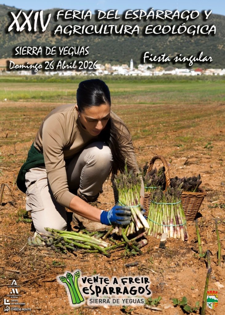 Cartel de la Feria del Espárrago de Sierra de Yeguas 2026