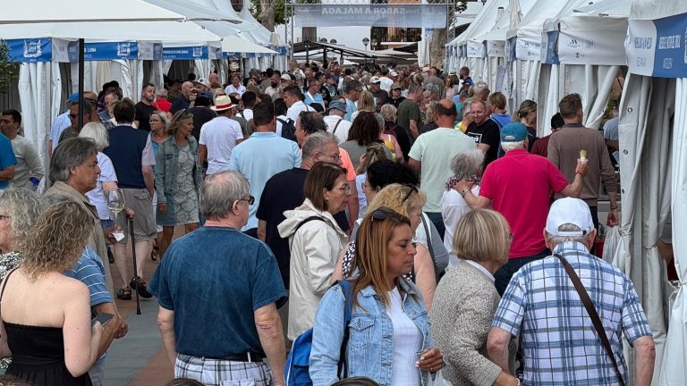 Feria de Sabor a Málaga de Nerja (1) (mayo 2025)