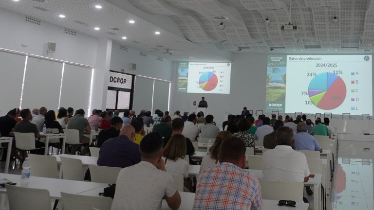 Jornada formativa de Dcoop en Antequera para la mejora de la calidad del aceite (junio 2025)