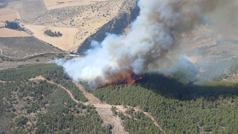 Incendio en el Pinar de Guerrero en Antequera (fofo EMA Infoca) (julio 2025)