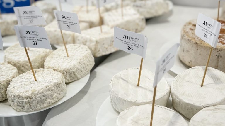 Quesos presentados al concurso que promueve Sabor a Málaga