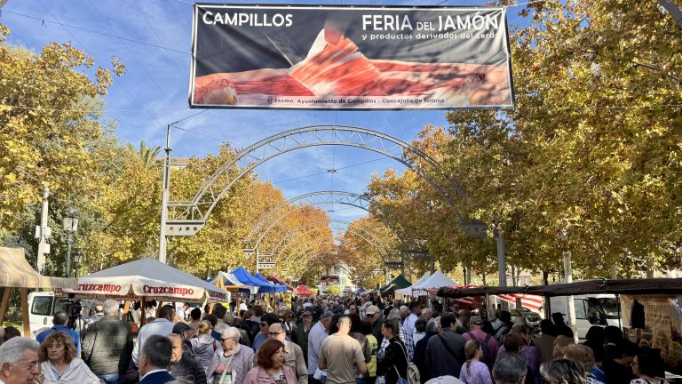 20241109 Mercado de la XVI Feria del Jamón de Campillos