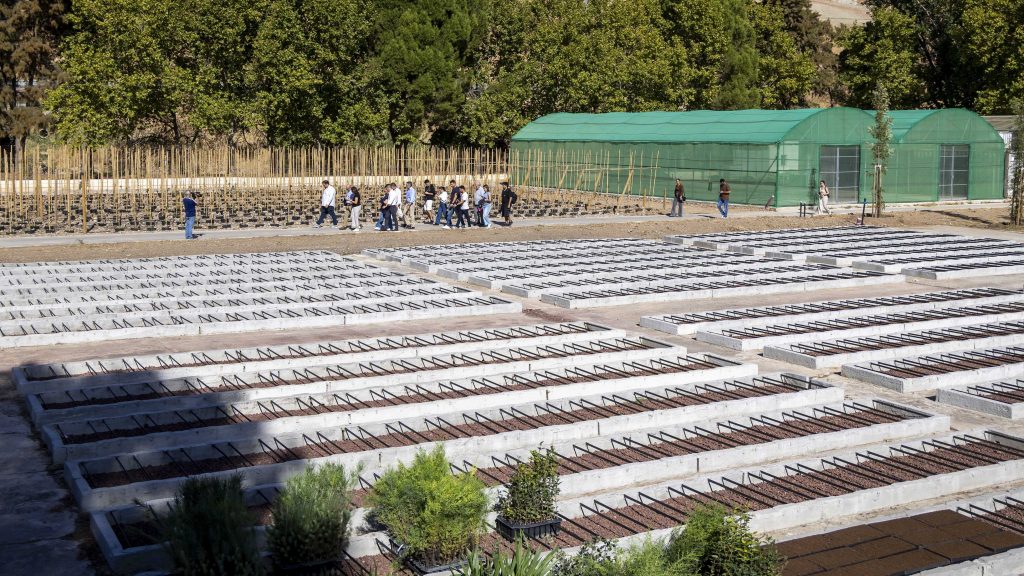 20251023 Vivero del Málaga Viva Lab en Ardales