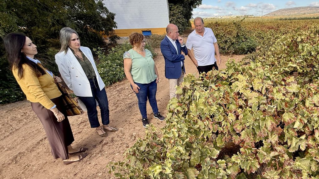 20251024 Ana Cebrián (i), Paqui Sánchez, Montse Navarro, Manolo Barón y José Antonio Palomo, junto a viñedos de la Bodega Cortijo La Fuente de Mollina