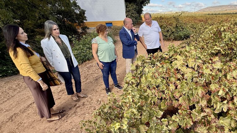 20251024 Ana Cebrián (i), Paqui Sánchez, Montse Navarro, Manolo Barón y José Antonio Palomo, junto a viñedos de la Bodega Cortijo La Fuente de Mollina