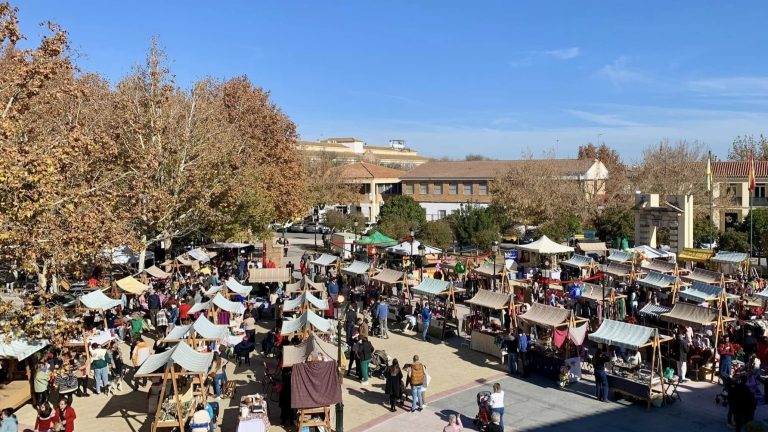 20241121 IX Mercadillo Navideño de Campillos