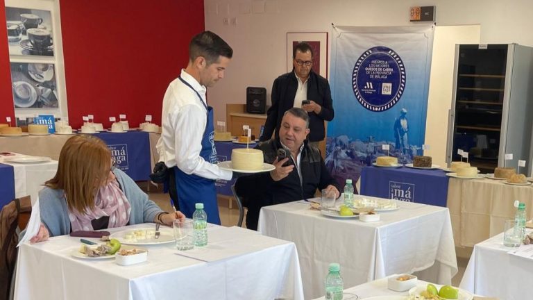 20251107 Cata de los Premios a los Mejores Quesos de Cabra Sabor a Málaga 2025