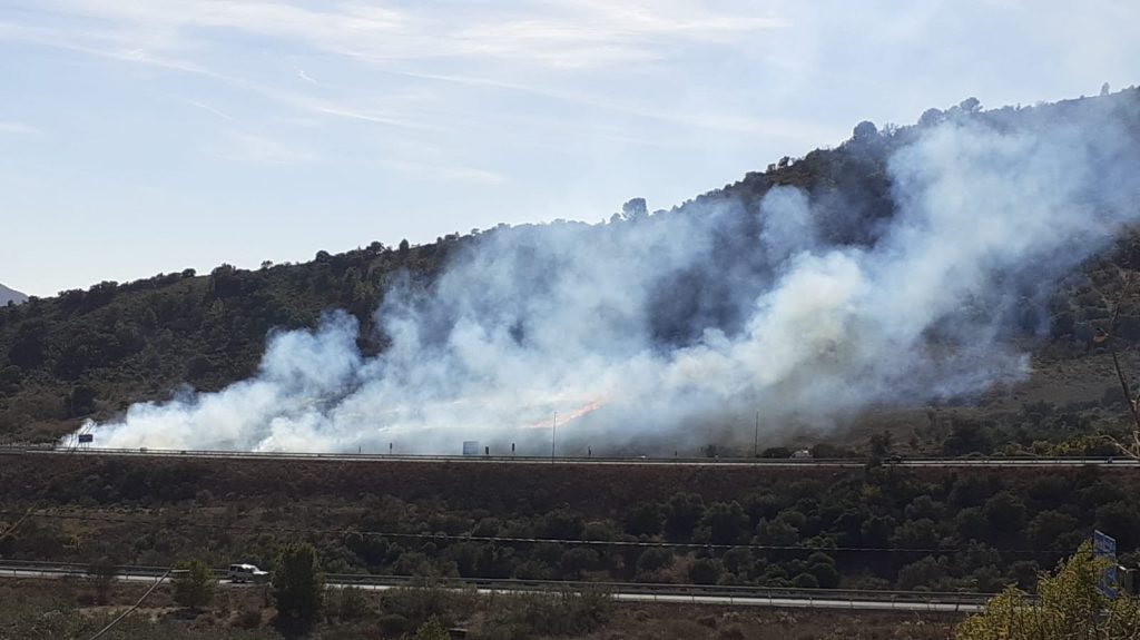 20251111 Incendio junto a la A-45 cerca del anejo antequerano de Villanueva de Cauche (foto Plan Infoca)