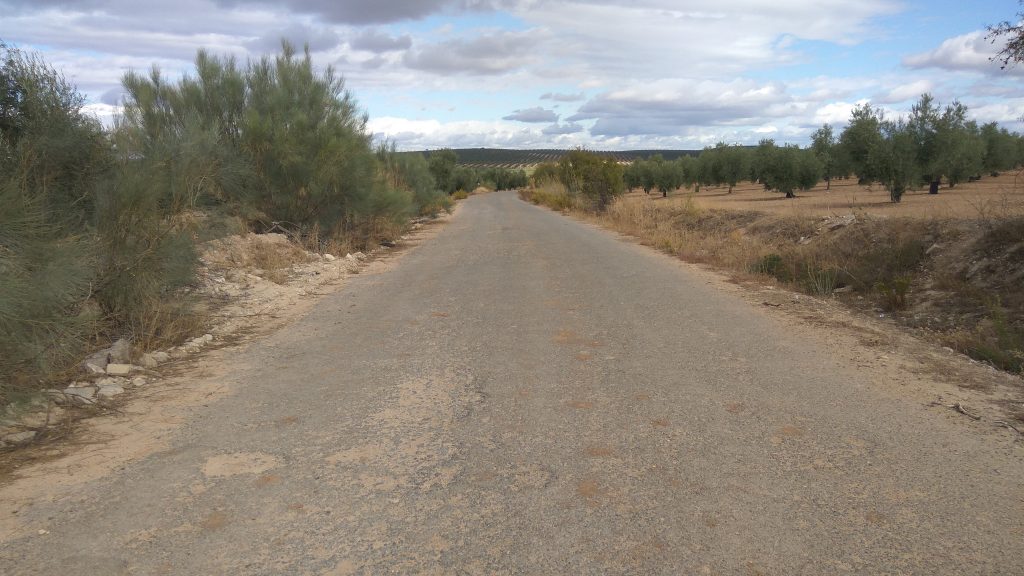 Camino de Cuevas Bajas a Cartaojal