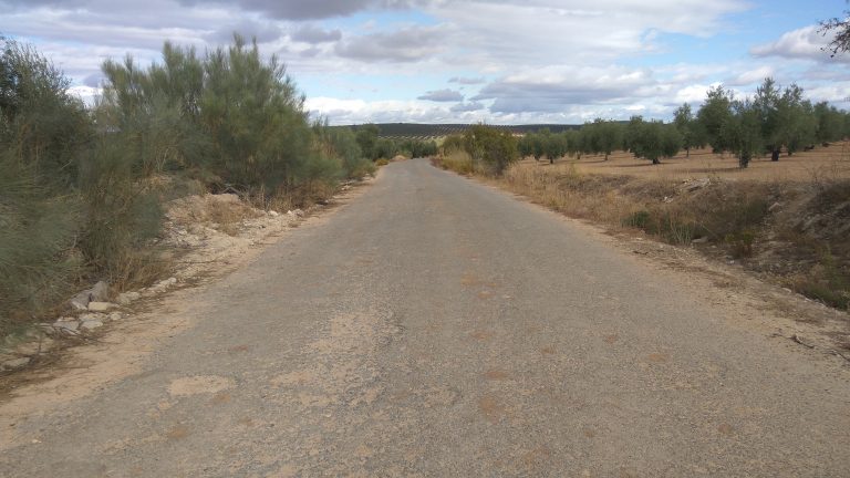 Camino de Cuevas Bajas a Cartaojal